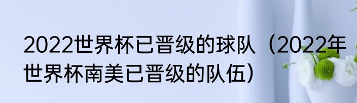 2022世界杯已晋级的球队（2022年世界杯南美已晋级的队伍）