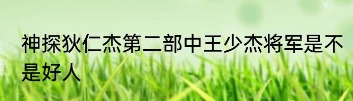 神探狄仁杰第二部中王少杰将军是不是好人