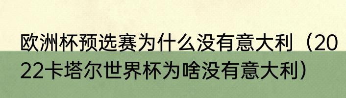 欧洲杯预选赛为什么没有意大利（2022卡塔尔世界杯为啥没有意大利）