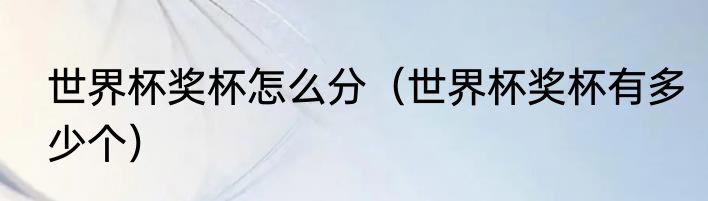 世界杯奖杯怎么分（世界杯奖杯有多少个）