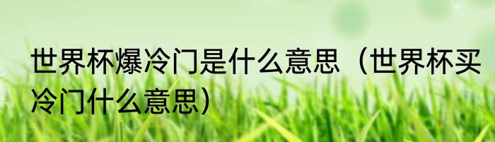 世界杯爆冷门是什么意思（世界杯买冷门什么意思）