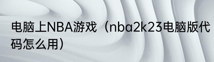 电脑上NBA游戏（nba2k23电脑版代码怎么用）
