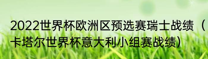 2022世界杯欧洲区预选赛瑞士战绩（卡塔尔世界杯意大利小组赛战绩）