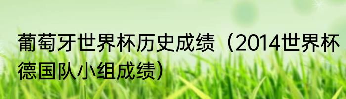 葡萄牙世界杯历史成绩（2014世界杯德国队小组成绩）