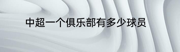 中超一个俱乐部有多少球员