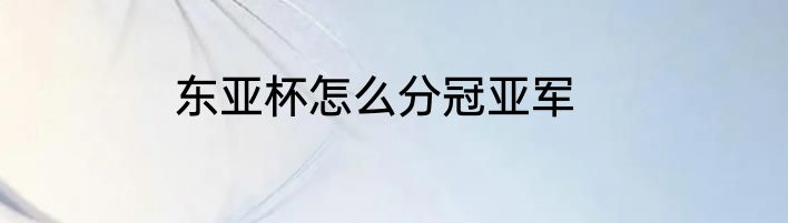 东亚杯怎么分冠亚军