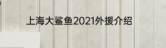 上海大鲨鱼2021外援介绍