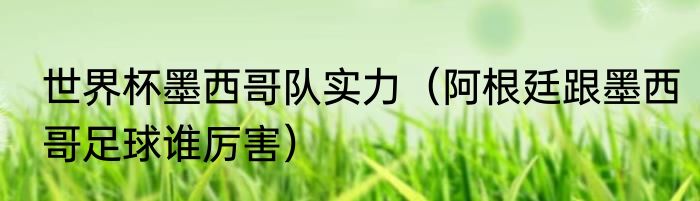 世界杯墨西哥队实力（阿根廷跟墨西哥足球谁厉害）