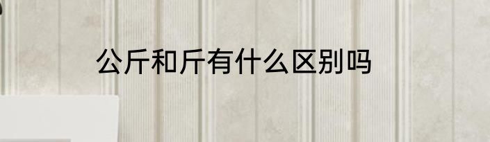 公斤和斤有什么区别吗