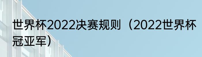 世界杯2022决赛规则（2022世界杯冠亚军）