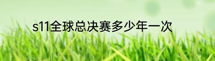 s11全球总决赛多少年一次