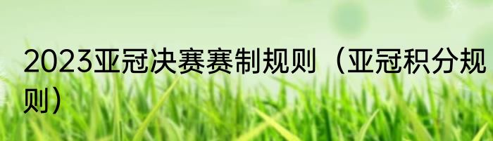 2023亚冠决赛赛制规则（亚冠积分规则）