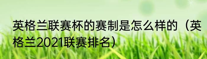 英格兰联赛杯的赛制是怎么样的（英格兰2021联赛排名）