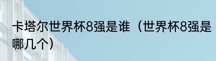卡塔尔世界杯8强是谁（世界杯8强是哪几个）
