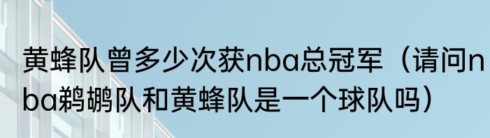 黄蜂队曾多少次获nba总冠军（请问nba鹈鹕队和黄蜂队是一个球队吗）