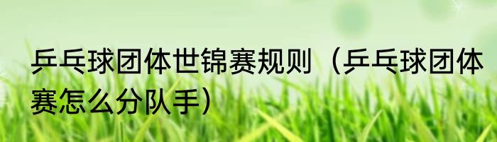 乒乓球团体世锦赛规则（乒乓球团体赛怎么分队手）