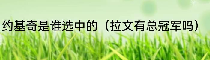 约基奇是谁选中的（拉文有总冠军吗）