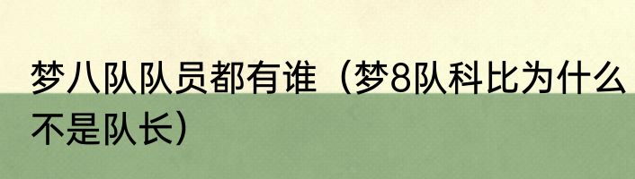 梦八队队员都有谁（梦8队科比为什么不是队长）