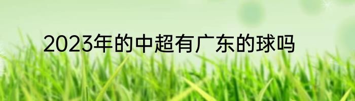 2023年的中超有广东的球吗