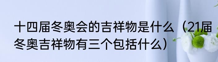 十四届冬奥会的吉祥物是什么（21届冬奥吉祥物有三个包括什么）