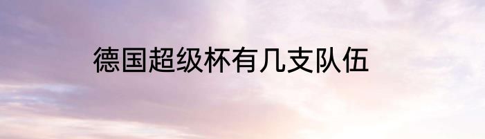德国超级杯有几支队伍