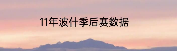 11年波什季后赛数据