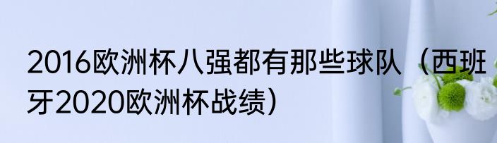 2016欧洲杯八强都有那些球队（西班牙2020欧洲杯战绩）