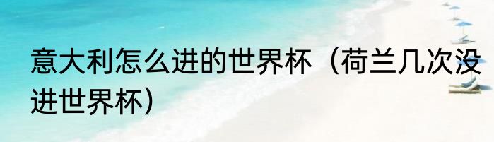 意大利怎么进的世界杯（荷兰几次没进世界杯）