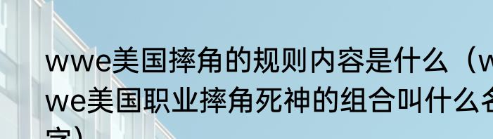 wwe美国摔角的规则内容是什么(wwe美国职业摔角死神的组合叫什么名字)