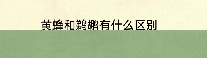 黄蜂和鹈鹕有什么区别