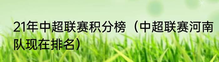 21年中超联赛积分榜（中超联赛河南队现在排名）