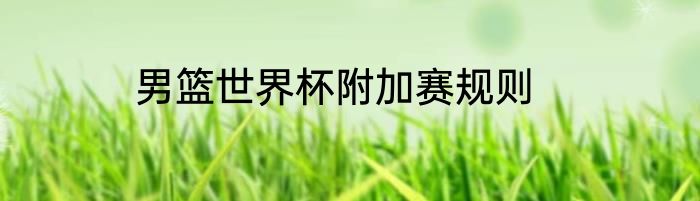 男篮世界杯附加赛规则