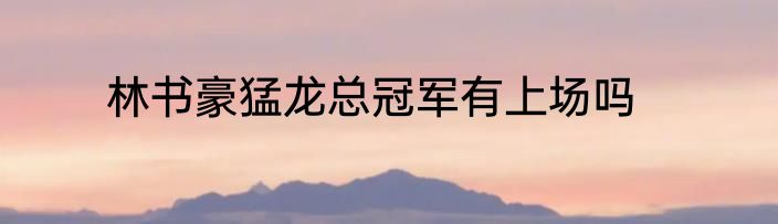 林书豪猛龙总冠军有上场吗