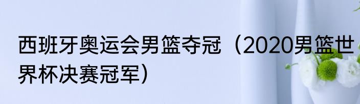 西班牙奥运会男篮夺冠（2020男篮世界杯决赛冠军）