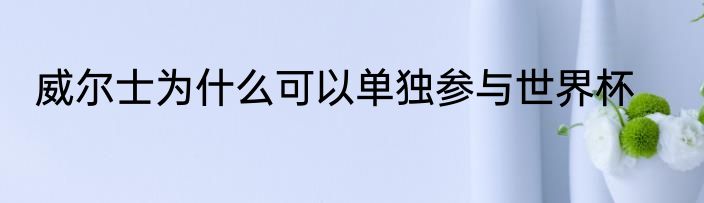 威尔士为什么可以单独参与世界杯