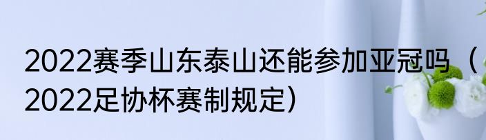 2022赛季山东泰山还能参加亚冠吗（2022足协杯赛制规定）