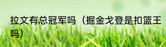 拉文有总冠军吗（掘金戈登是扣篮王吗）