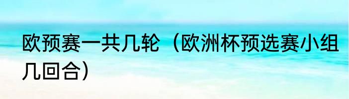 欧预赛一共几轮（欧洲杯预选赛小组几回合）