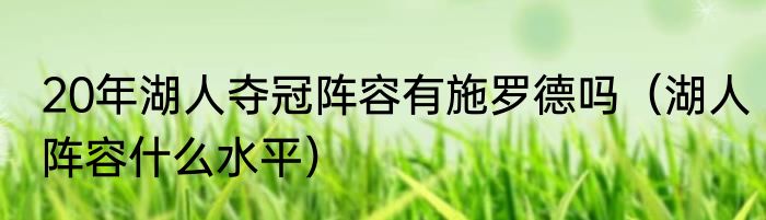 20年湖人夺冠阵容有施罗德吗（湖人阵容什么水平）