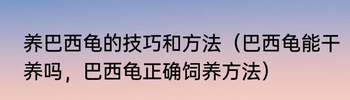 养巴西龟的技巧和方法（巴西龟能干养吗，巴西龟正确饲养方法）