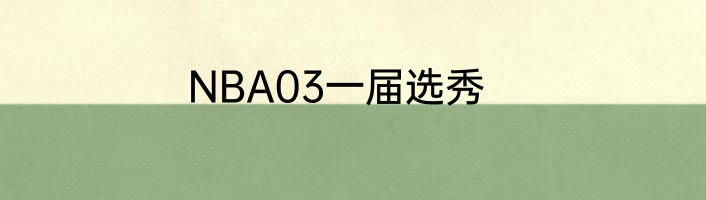 NBA03一届选秀