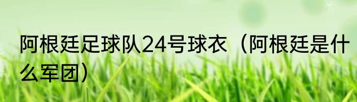 阿根廷足球队24号球衣（阿根廷是什么军团）