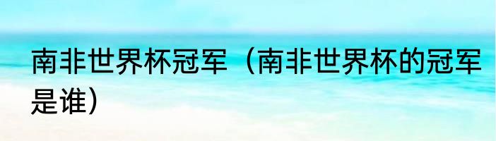 南非世界杯冠军（南非世界杯的冠军是谁）