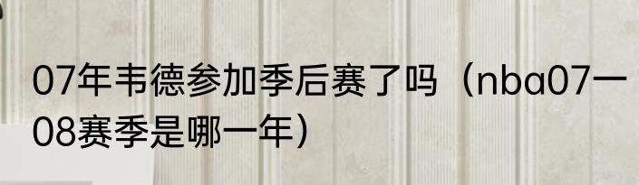 07年韦德参加季后赛了吗（nba07一08赛季是哪一年）