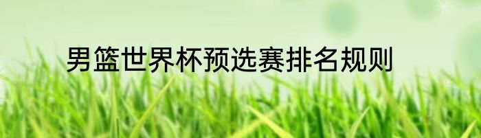 男篮世界杯预选赛排名规则