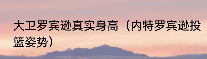 大卫罗宾逊真实身高（内特罗宾逊投篮姿势）