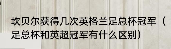 坎贝尔获得几次英格兰足总杯冠军（足总杯和英超冠军有什么区别）