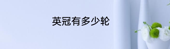 英冠有多少轮