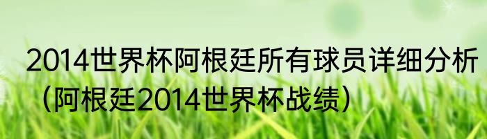 2014世界杯阿根廷所有球员详细分析（阿根廷2014世界杯战绩）
