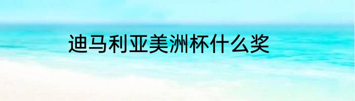 迪马利亚美洲杯什么奖